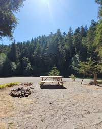 Home – Gualala River Redwood Park | Gualala River Redwood Park