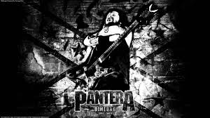 Pantera Wallpapers Hd Wallpaper Cave .puma, pantera, free, windows, download wallpaper,wild life, backgrounds, nature_1920x1080 how to setup wallpaper. pantera wallpapers hd wallpaper cave