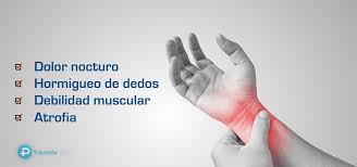 Suite carpiano, italy, melegnano, via per carpiano, 2/c: Todo Lo Que Tienes Que Saber Sobre El Tunel Carpiano Traumatopedia