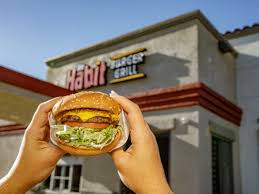 San Diego Fast Food Jack In The Box Yorba Linda California-based The Habit  Burger Grill