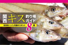 関西 キス 釣り