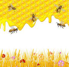 blindada por deus texturas image abeille art theme coloriage alpaga dessin