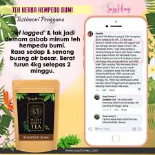 Allah (memberi) nur (cahaya) langit dan bumi. Teh Hempedu Bumi Kuatkan Sistem Imun Kencing Manis Darah Tinggi Max Fungsi Hati Lawas Air Kecil Air Besar Shopee Malaysia