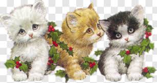 Cats shown below are available for adoption in new york city. Kittens Cat Transparent Png Kitty Kitten Cats Kittens Christmas Hd Png Download 498x267 13521931 Png Image Pngjoy