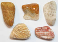 Polished Stone Identification Pictures Of Tumbled Rocks