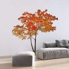 It can be applied to just about any hard, smooth surface and is safe for walls. Cr 81127 Orange Tree Wall Decals By Crearreda