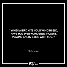 Relatable post #2334 those levels on angry birds that you just can't pass and make you as angry as the birds. Epic Quotes For Social Media