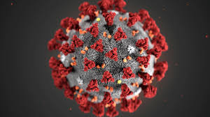 Disegni da colorare animal crossing. Coronavirus Ecco Le Immagini Del Virus La Repubblica