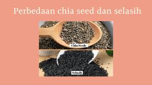 Cangkang biji akan pecah dan bagian dalam biji dijual sebagai pala. 7 Manfaat Chia Seed Bagi Kesehatan Kita