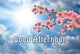 Has the time of afternoon come? Good Afternoon Radiant Flowers Premium Wishes