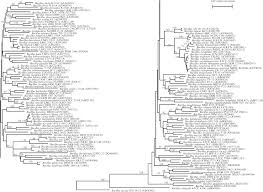 Bacillus Logan Major Reference Works Wiley Online