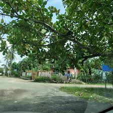 Kota kuala muda is situated nearby to kampong permatang nyior. Kg Rantau Panjang Kota Kuala Muda Kedah