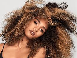 Image result for Light Coppertone 1972 Fedders