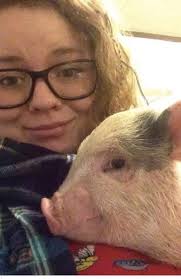 Eva Murray: When pigs fly, and this time no kidding