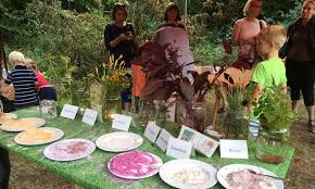 On the grounds of the 5 hectare nature adventure garden many plants are cultivated especially for the little visitors, which are fun for children. Remmidemmi In Finkens Garten Kanguru Magazin