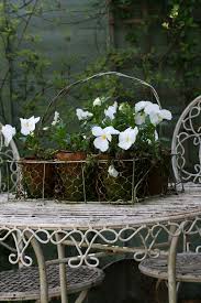 White Table And White Pansy White Gardens Cow Shed White Flowers
