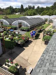 Eugene wholesale flowers | we are a local source for bulk flowers and wholesale containers and supplies. Portland Sustainable Flower Delivery