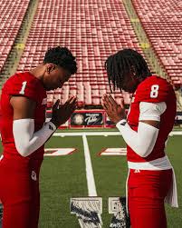 Risultati immagini per bunchie