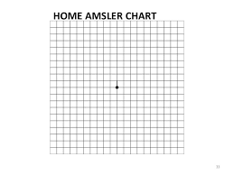 amsler grid chart