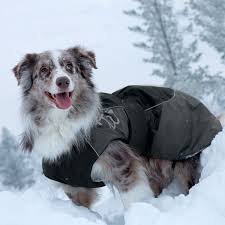 Hurtta Dog Winter Jacket Black At Baxterboo Winter Dog Dog Coats Dogs