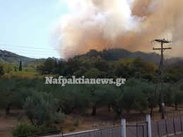 Εκκενώνονται άγιος στέφανος, πολυδένδρι, καπανδρίτι. Fwtia Twra Sthn Fwkida Kerdizoyn Th Maxh Oi Hrwes Pyrosbestes Video Pics