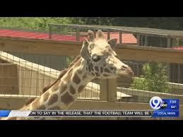 Help edu cate with the wealth of knowledge this cam and park has brought to you! Animal Adventure Park Coupon 08 2021