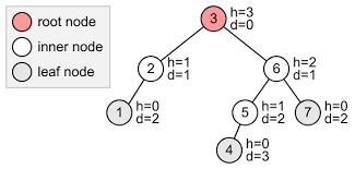 A tree's height and depth are important attributes to consider in complexity analysis as well as for numerous algorithms. Avl Tree Growing With The Web