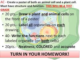 Sam introduces you to the cell. The Cell Bkwk S 1 What Is This Tool Called Ppt Download
