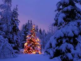 Coldplay Have Yourself A Merry Little Christmas Christmas Landscape Christmas Lights Christmas Scenes