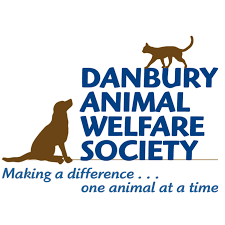 Ct cat connection (shelter #1159768) x hartford county 40 stephens mill road, windsor, ct 06095 map it. Pets For Adoption At Danbury Animal Welfare Society Inc Daws In Danbury Ct Petfinder