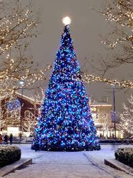 Do you want to make this coming christmas unique and different from the previous ones? Beautiful Christmas Tree Blue Christmas Tree Beautiful Christmas Trees Blue Christmas