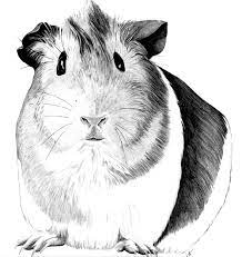 Pin On Piggie Loving