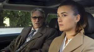 The Best 'NCIS' Character Deserved So Much Better Than What She Was Given