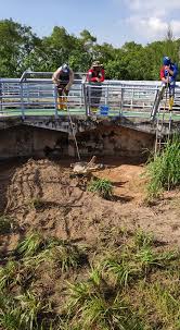 Pasir gudang bandar sejahtera tersohorlagu. Hai Semua Nak Bagitau Sarang Buaya Pasir Gudang Facebook