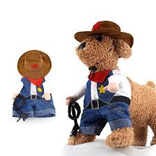 5 out of 5 stars (1,076) 1,076 reviews $ 11.95. Cowboy Cowgirl Cat Outfit Thecatplace