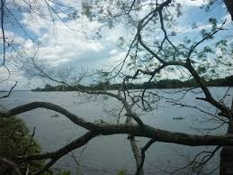 Adrian Albuquerque F. Lopes