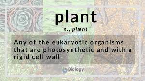 We did not find results for: Plant Definition And Examples Biology Online Dictionary