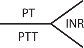 Ptt yurt dışı kargo hizmetleri. Partial Thromboplastin Time Wikipedia