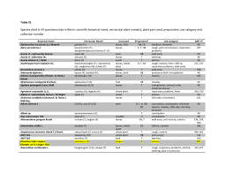 Image result for Rhaphiostylis beninensis