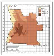 Image result for Ceropegia lugardiae