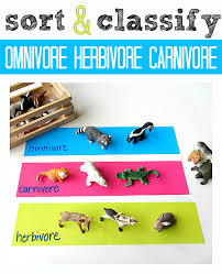 Many small birds and mammals are omnivorous; Science For Kids Omnivore Herbivore Or Carnivore No Time For Flash Cards