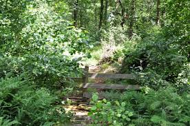 Een vakantiehuisje in het bos van gaasterland huurt u bij vakantiefriesland.com. Friesland Wandelvanuit Oudemirdum Wandelvanuit