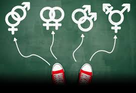 La Importancia De La Educacion Sexual Scouts De Espana