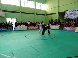 Bisa dari video, kata kata, hingga berbagai foto lucu. 15 Kelas Dipertandingkan Cabor Pencak Silat Pemerintah Provinsi Jawa Tengah