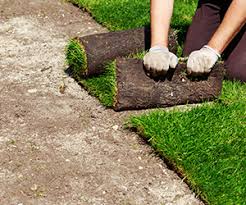 Hessayon, 1997, expert books, distributed in the united states by sterling pub. Sod Installation New Lawn Installation Orlando Fl