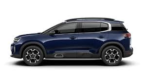 Image result for Bleu Electra 2019 Citroen