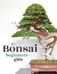 Bol Com De Bonsai Beginners Gids Ebook Bonsai Empire 9788828305330 Boeken