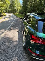 Image result for Azorean Green 2016 Q5