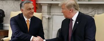 Duitse clubs laten hun stadions schitteren in de regenboogkleuren. Ungarns Regierungschef Im Weissen Haus Trump Lobt Orban Fur Hervorragenden Job Politik Tagesspiegel