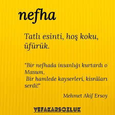 Parvina Adli Kullanicinin Kelimeler Slova Panosundaki Pin Guzel Soz Alintilar Ozlu Sozler